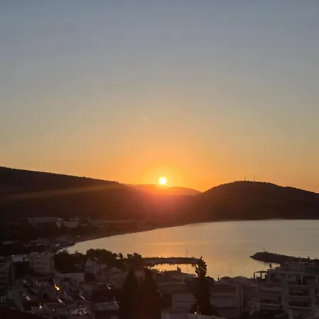 Appartamento - маслината *