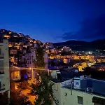 Lejlighed - маслината *