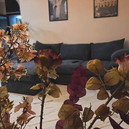 Apartment - маслината