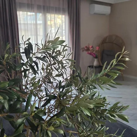 Apartment - маслината Kavala