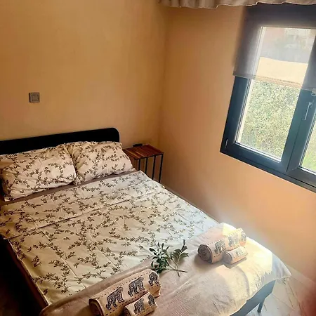 - маслината شقة *