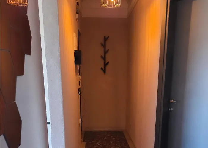 公寓 - маслината