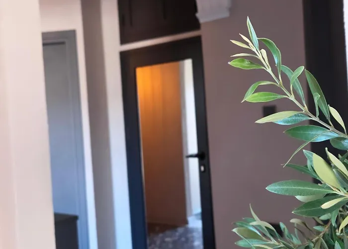 - маслината 公寓