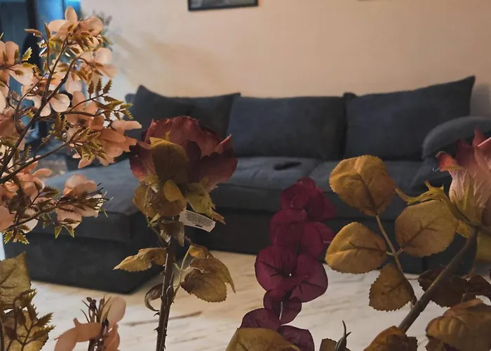 公寓 - маслината