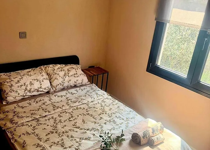 - маслината Apartament *